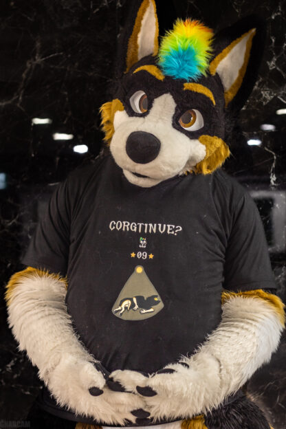 Corgtinue?