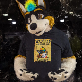 Wanted for Excess Sass