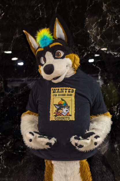 Wanted for Excess Sass