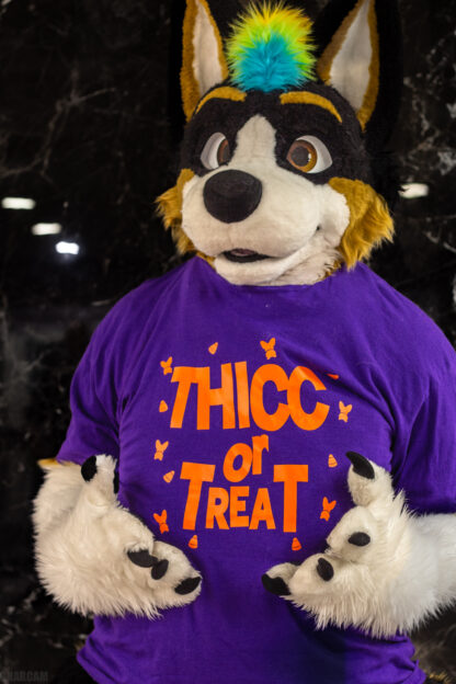 THICC or TREAT