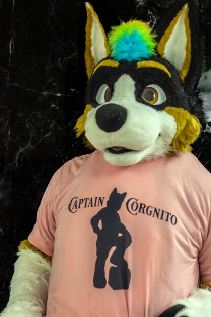 Captain Corgnito